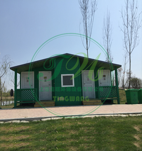 大丰荷兰花海